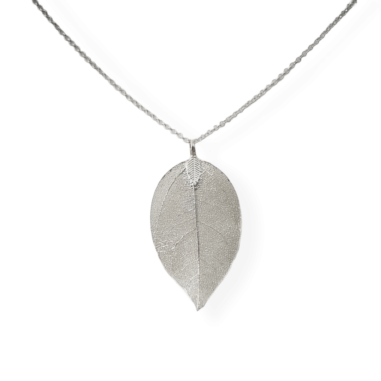 png_1500x1500_60073003