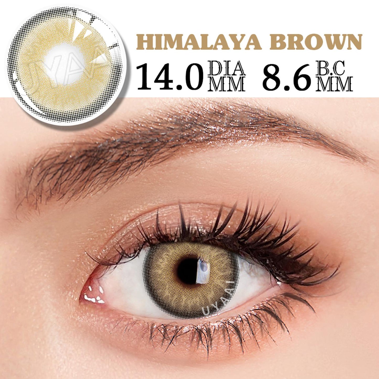 Lentes De Contacto Cafe Claro Himalaya Brown Pupilentes