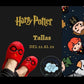 Pantuflas Harry Potter Tematica Rojo con Lentes